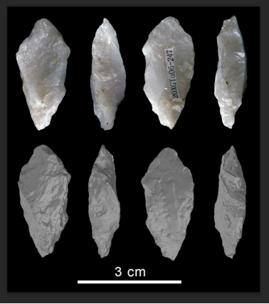 河南要闻26.02.033382