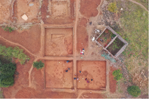 河南要闻26.02.033817