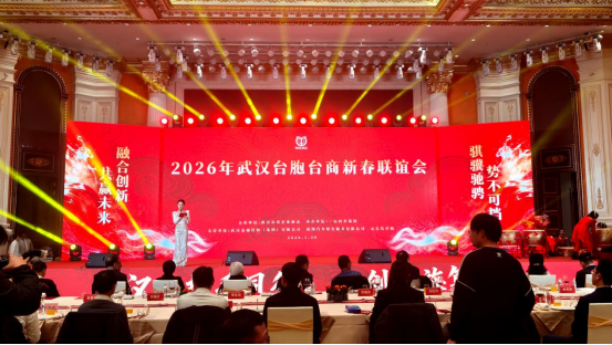 武汉台胞台商新春联谊会举行 共促两岸融合发展194