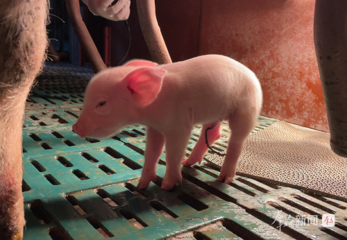 11514375_78292a9e-ba3a-42e2-8297-c48d772e22a7copy 11514375_78292a9e-ba3a-42e2-8297-c48d772e22a7copy