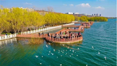 河南要闻26.02.106125