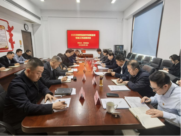 党组织书记抓基层党建工作述职评议新闻稿20260213167 党组织书记抓基层党建工作述职评议新闻稿20260213167