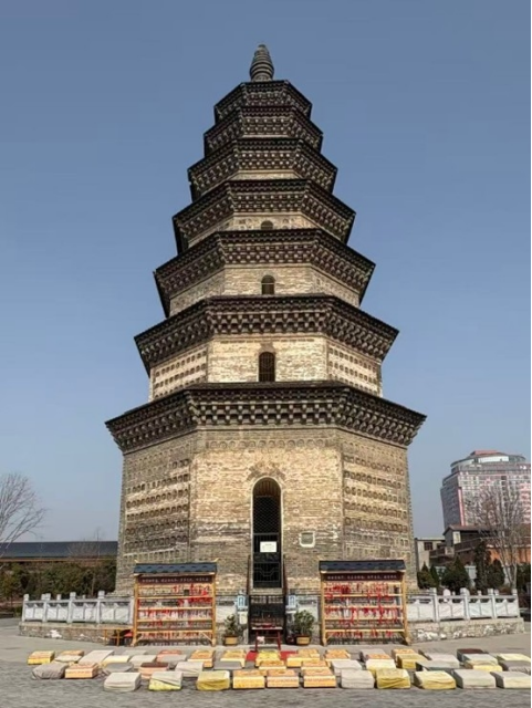 河南要闻26.02.273511