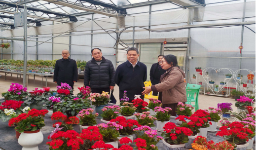 程良胜主任调研海峡两岸产业合作区137 程良胜主任调研海峡两岸产业合作区137