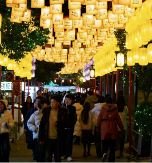 社旗县委统战部开展元宵节联谊活动