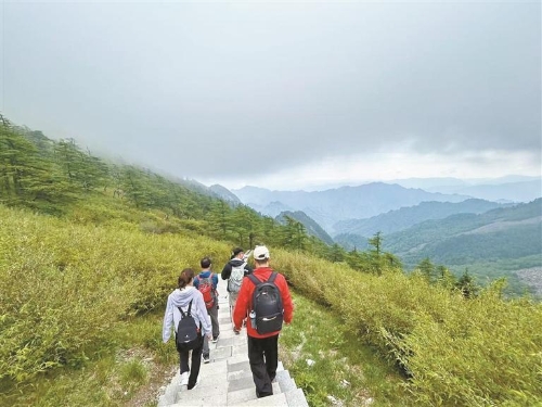 11549687_90668dfe-6d85-4452-ae19-89430e9bf72b