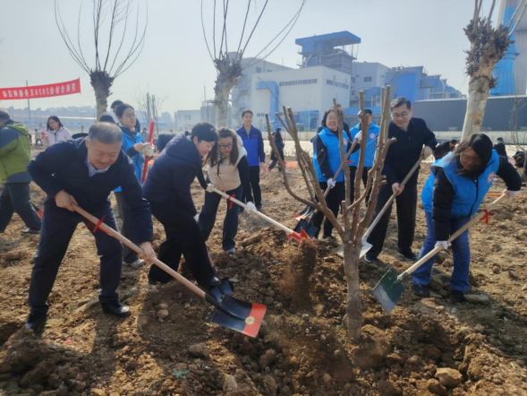 20260312植树主题党日新闻稿173