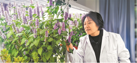 河南要闻26.03.161463 河南要闻26.03.161463