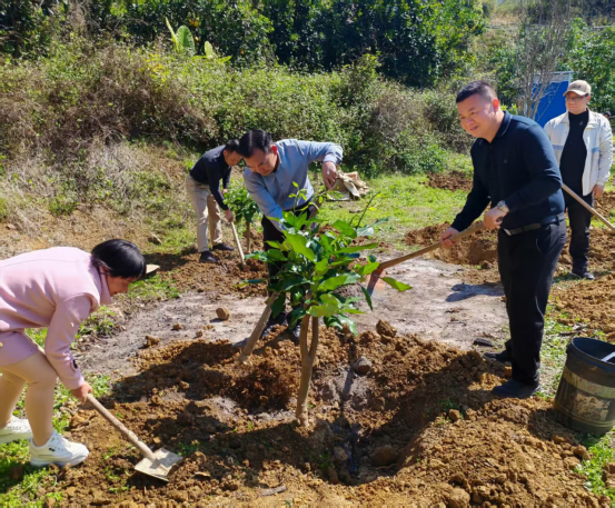 宣传稿件（通稿）436