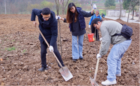 襄阳市台资企业协会成功举办2026年植树活动暨会员生日会164