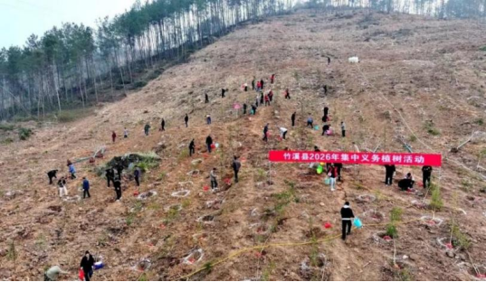 十堰市竹溪县台办开展植树造林活动  扛牢守水护水责任137