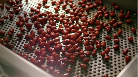 河南要闻26.03.176183 河南要闻26.03.176183