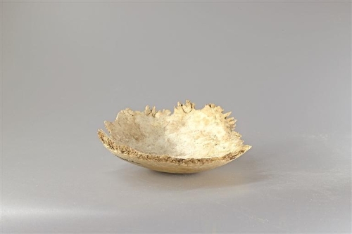 11557087_bc5537e2-72a4-45be-be93-10188adafcff