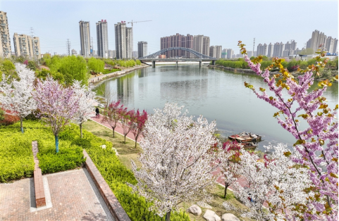 河南要闻26.03.191956 河南要闻26.03.191956