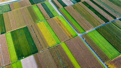 河南要闻26.03.193725 河南要闻26.03.193725