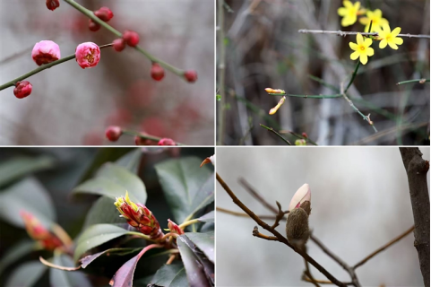 河南要闻26.03.1912366 河南要闻26.03.1912366