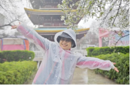 樱香牵两岸 知音共荆楚516