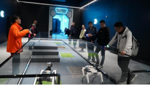 樱香牵两岸 知音共荆楚786