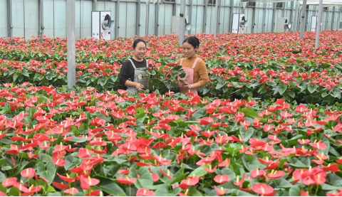 河南要闻26.03.244136 河南要闻26.03.244136