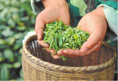 河南要闻26.04.071252