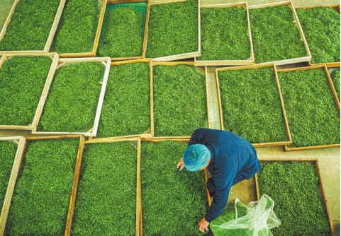 河南要闻26.04.071392