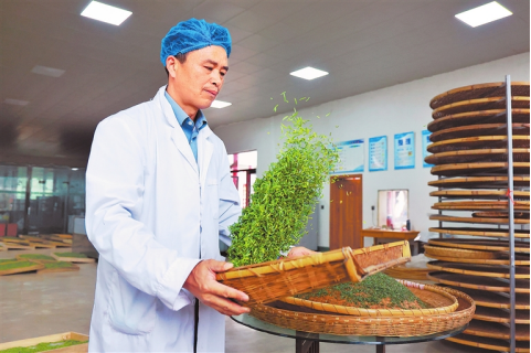 河南要闻26.04.071667