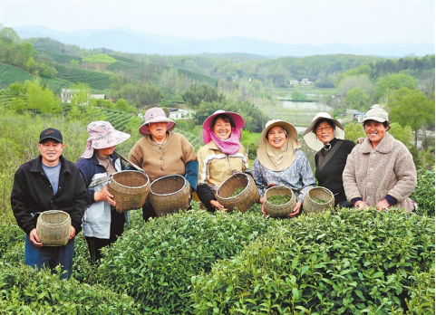 河南要闻26.04.071803