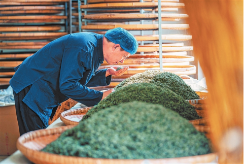 河南要闻26.04.071978