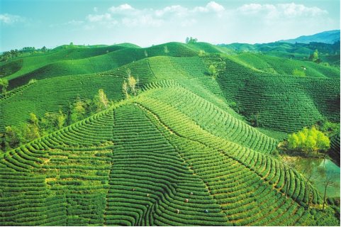 河南要闻26.04.072309