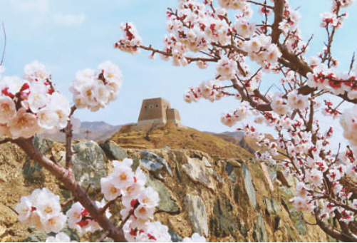 朔州：塞上春光好 古韵入画来15