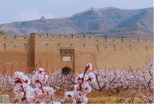 朔州：塞上春光好 古韵入画来17
