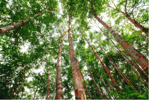 河南要闻26.04.095405