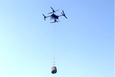 河南要闻26.04.095555