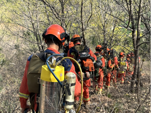 河南要闻26.04.095736