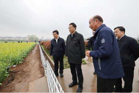 河南要闻26.04.0912994 河南要闻26.04.0912994