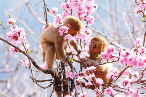 河南要闻26.04.10313