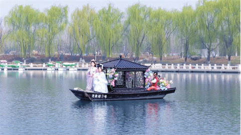 河南要闻26.04.10449