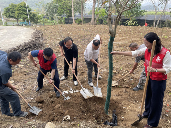 【简讯】清远：两岸携手祭英烈 同心共植绿美林0413319