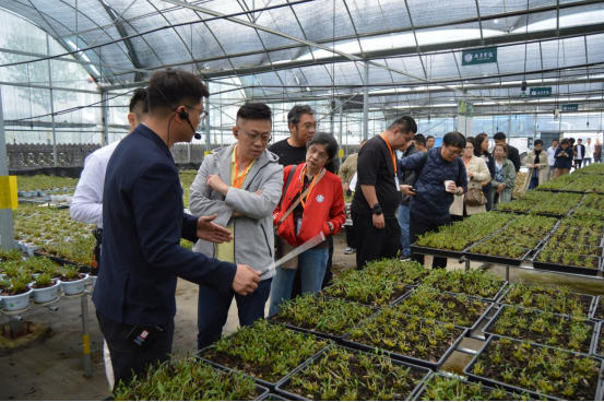 寻根文化血脉　共话创富未来 (2)852