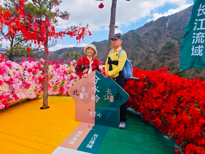 988e81f537600c9cbe4c5ad07af9de21