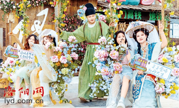 4月牡丹洛阳网站更新164