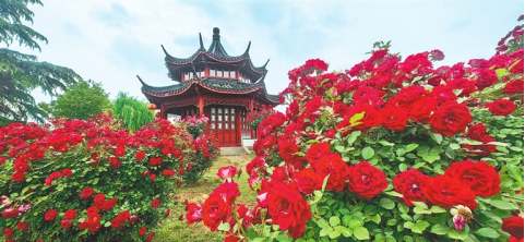 河南要闻26.04.223352