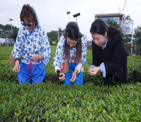 简报信息-“两岸同心·茶陶共韵”2026年台湾青年文化体验交流活动在自贡举行401