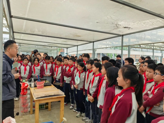 试验田里上科普课 台青共赏农韵悟初心——武汉空港湿地花田开展世界读书日公益活动918