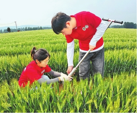 河南要闻26.05.076222