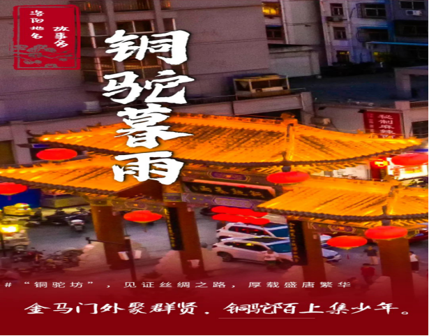 5月牡丹洛阳网站更新.4117 5月牡丹洛阳网站更新.4117