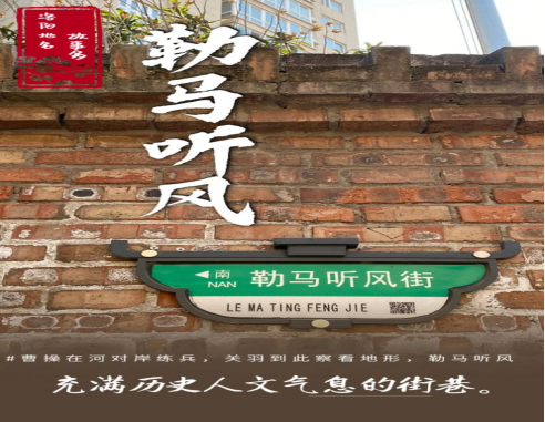 5月牡丹洛阳网站更新.4470 5月牡丹洛阳网站更新.4470