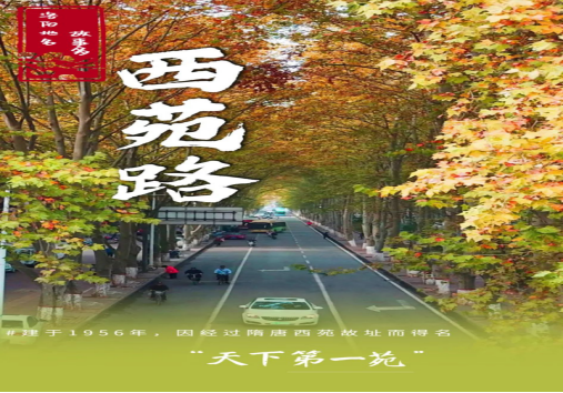 5月牡丹洛阳网站更新.4801 5月牡丹洛阳网站更新.4801