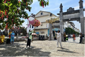 承一脉嫘祖文脉 聚两岸同胞同心  两岸青年踏春共赴文化之约174