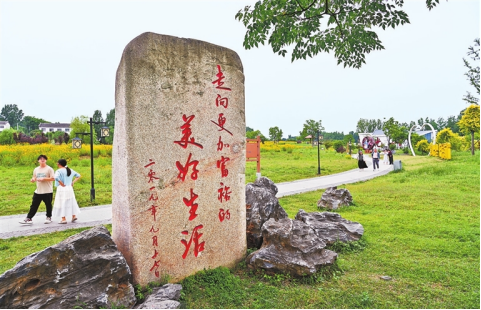 河南要闻26.05.185594
